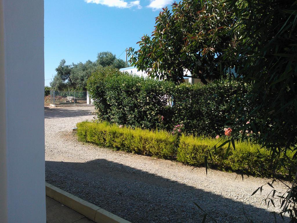 Quinta Da Moura Casa-De-Campo Guest House Tavira Exterior photo